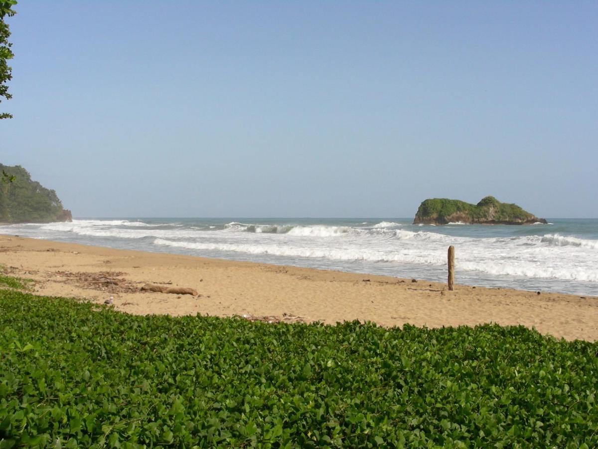 Hotel Casa Conley Del Mar Puerto Viejo de Talamanca Екстериор снимка